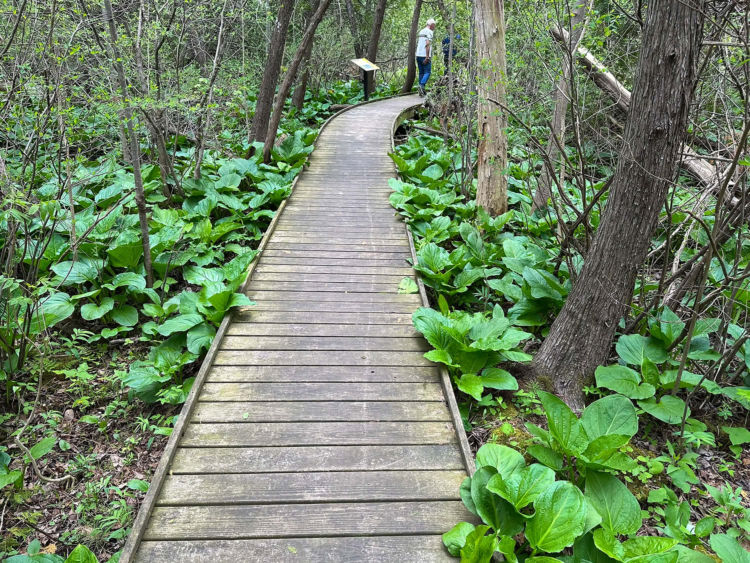 Cedar Bog Nature Preserve